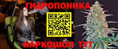 прущая мука Аша