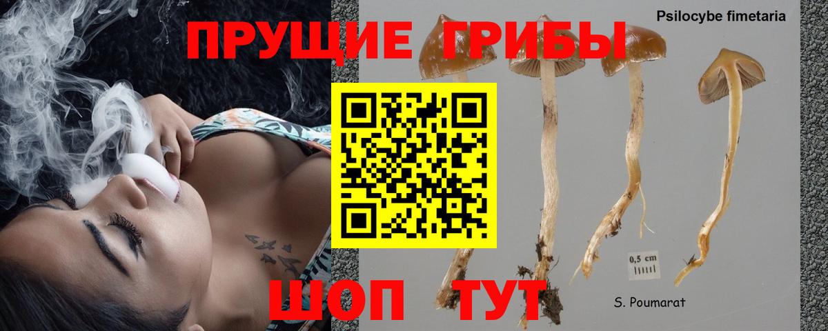 Галлюциногенные грибы MAGIC MUSHROOMS  Вход с VPN  Выкса  Галлюциногенные грибы GOLDEN TEACHER 
